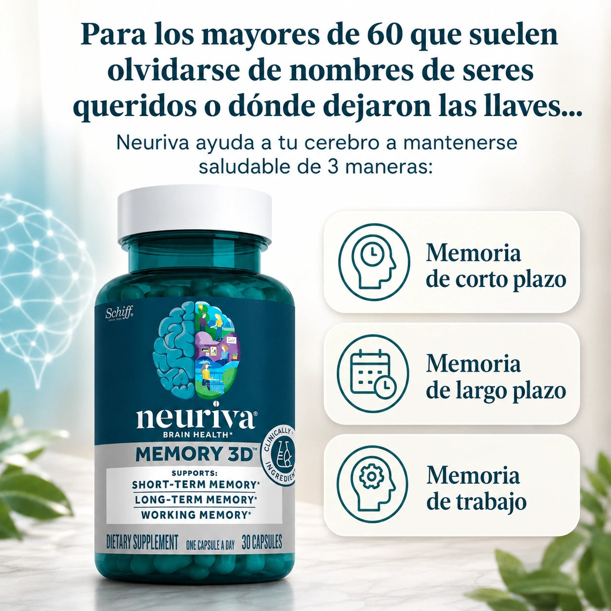 Neuriva suplemento cerebral (50 cápsulas) - Reduce el riesgo de padecer Alzheimer en +60 años