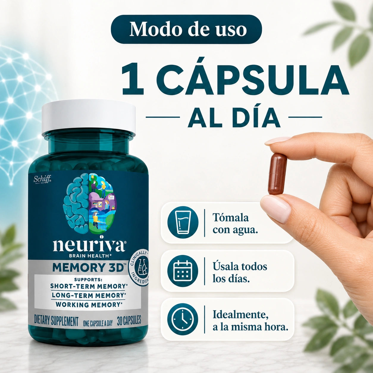 Neuriva suplemento cerebral (50 cápsulas) - Reduce el riesgo de padecer Alzheimer en +60 años